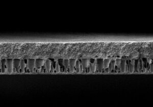 The PFAS-free polymer membrane is chemically stable, highly permeable and features a pore diameter of approx. seven nanometers. (© Fraunhofer IAP)