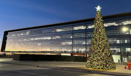 TSMC's offshore fabs