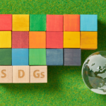 UN SDGs