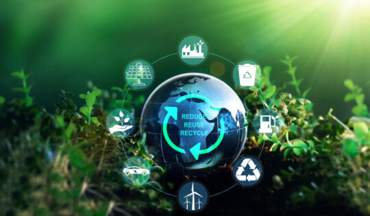 accidental sustainability