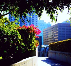 Yerba Buena Gardens