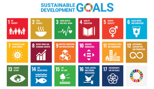 UN SDGs